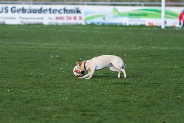 Bild 27 - Frauen MTSV Olympia NMD - SG Ratekau-Strand 08 : Ergebnis: 1:1